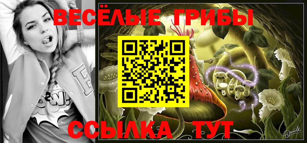 Галлюциногенные грибы GOLDEN TEACHER  Вход с VPN  Черкесск 